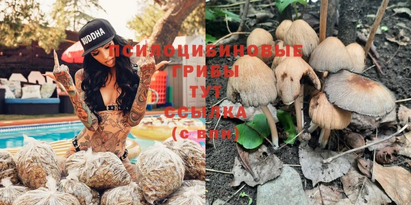 каннабис Заволжье