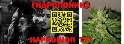 сатива Лесосибирск