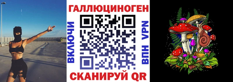 KRAKEN сайт  Зерноград  Псилоцибиновые грибы Psilocybe 
